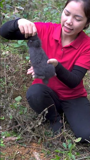 Unexpected Discovery of Wild Rabbits | Epic and Funny Chase! #shorts #harvesting