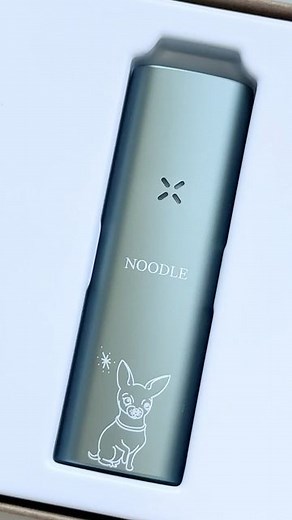 PAX on Instagram: "Personalize any new PAX and Era device with My PAX® now at PAX.com.⁠ ⁠ Choose from hundreds of designs that make for the perfect gift or just create a work of art for yourself.⁠ ⁠ #PAXLife #MyPAX #HitsDifferent⁠"