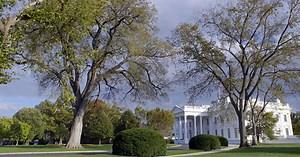 The White House: Inside Story