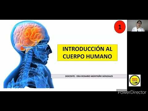 Introducción al cuerpo humano Medicina Tortora Derrickson 😃📘 Morfofunción