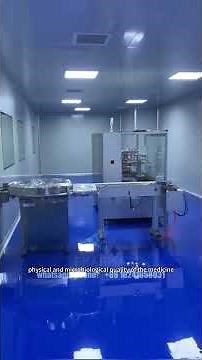 Meeting GMP Standards A Cleanroom Project in African Pharmaceutical Company
