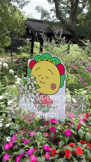 「HANA・BIYORI」「花景の湯」にて、コジコジとのコラボイベントが開催中です🌻 フォトスポットやスタンプラリーなど、コジコジの世界観を楽しめるコンテンツが充実！ 見た目も華やかなコラボフードもおすすめです🍴🌟 💐期間：2026年8月1日(土)～2026年8月30日(日) 💐場所：HANA・BIYORI、花景の湯（東京都稲城市） イベント詳細はこちら💫 https://www.yomiuriland.com/hanabiyori/event-experience/event/cojicoji/ #はなびより #HANABIYORI #コジコジ #cojicoji