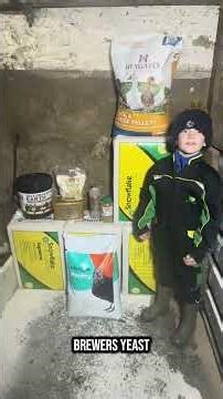 Products we use for our chickens and ducks #chickeneggs #chicken #chickenfeed #poultrytips #ducks