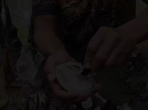 【小龙Michael】新作上线，快来看看！