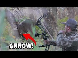 RANCH FAIRY was RIGHT!! | Bow Hunting from the Ground, Public Land Deer