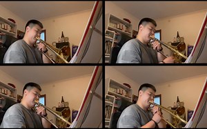 视个奏｜Wallerman