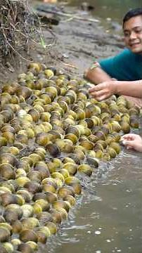 3 Types of Shellfish That Are Successfully Harvested From Nature