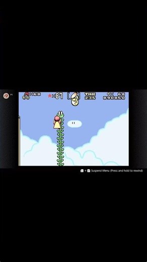 Cookie Mountain Dragon Coins - Super Mario World: Super Mario Advance 2