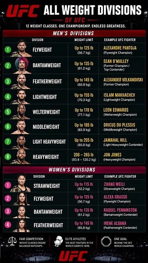 🥊 UFC WEIGHT DIVISIONS EXPLAINED 👇#ufc #mma #ufcfighters #ufcchampion #mixedmartialarts #fightnight