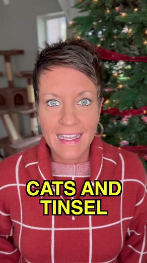 Holiday Decor Warning: Keep Tinsel Away from Cats!