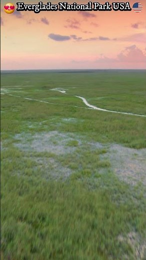 The River That Became a Living Wilderness 🇺🇸🌿 #evergladesnationalpark