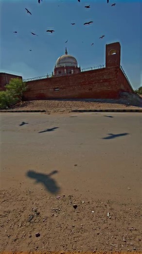 💔 #foryou #multan #bzu #video #alimalik848 #foryoupageofficiall