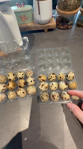 Vidéos de panda 2 (@panda.panda.anda) avec sunet original - panda 2