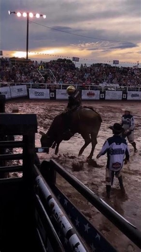 Bull Riding in the mud at sunset 💯