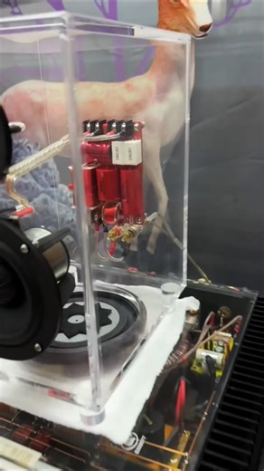 Transparent acrylic bookshelf box