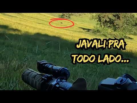 Javali pra Todo Lado… 2 Não Escaparam!