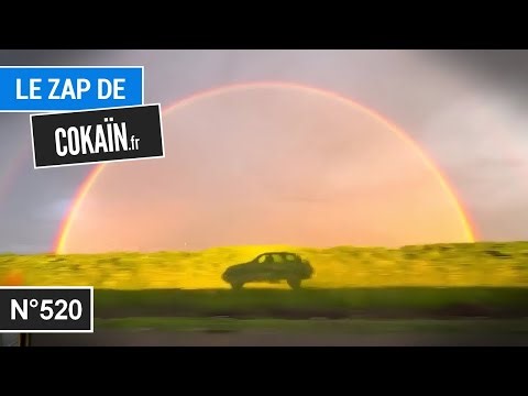 Le Zap de Cokaïn.fr n°520