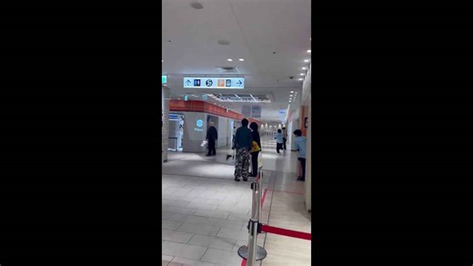 Female shop assistant stabbed to death at Pokemon Centre in Japan