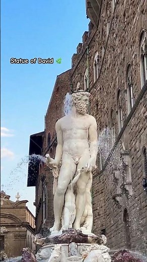 Statue of David 🌿🇮🇹 #firenze #florence #michelangelo