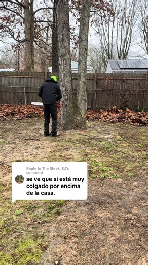 Replying to @The Shrek EJ Todo al 100 #fyp #parati #viral #arboleros #mexican