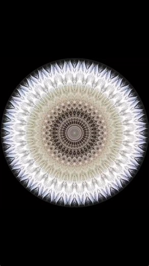 The Beautiful Dandelion Clock Animated | Natureofflowers