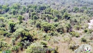 The Gambia Environmental Alliance task force passionately launched a campaign to safeguard the Nyanibereh Forest Park in the Lower River Region of The Gambia, combating the encroachment of illegal settlements. | The Fatu Network