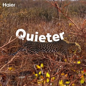 Haier Washing Machines come with AI-DBT technology, an integrated system that perfectly balances wight and motion to give you a super stable and silent wash. To know more : http://bit.ly/401NvXn #Haier #Inspiredliving #WashingMachine | Haier