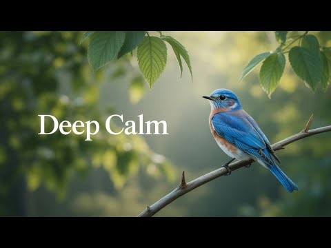 Relaxing Cave Water Drips & Nature Sounds • Birds & Soft Music for Sleep, Study, Meditation