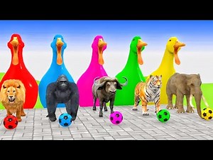 Epic Animals Obstacle Course 3D Game Funny 3D Animals Challenge