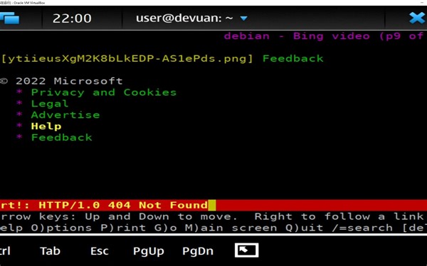 Maemo Leste系统在虚拟机体验