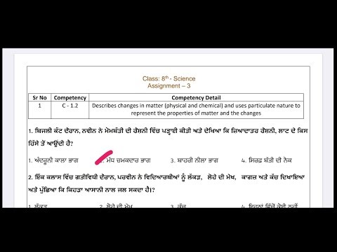 8th Class Science|Assignment No.3 Solution|CEP 2025|Competency enhancement program|