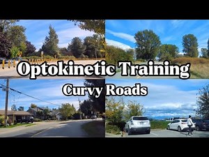 (1080p) Driving on a Curvy Road | Optokinetic Training for Concussion, Dizziness, Motion Sensitivity