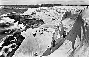 34K views · 150 reactions | From wrapping 2.5 kilometres of coast in fabric, to building a 12.4 metre puppy made of flowers - 50 years of radical public art projects in Australia. | ABC News | Facebook