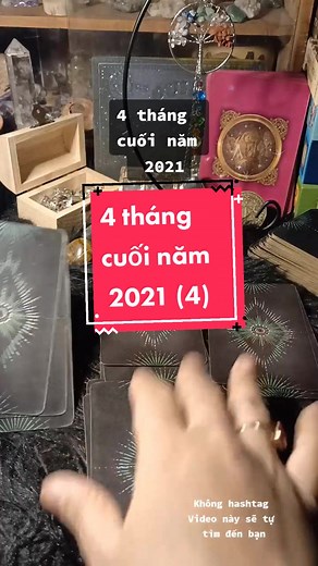 TÓC XÙ Tarot trên TikTok
