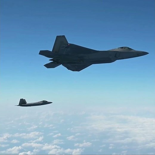 F-22 Raptor Dominates Every Enemy #military #airforce #usa
