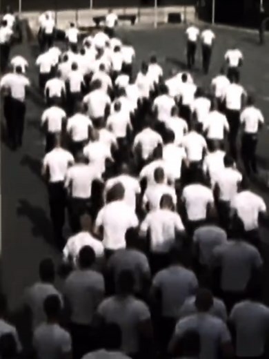 Exploring the Elite Training of Navy SEALs