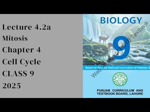 Lecture 4.2a || Chapter 4 || Biology || Class 9 || New Book 2025 || Punjab Textbook Board
