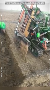 1.3M views · 6.4K reactions | How People Harvest Giant Yams with JCB Diggers for Big Profits!  #machine #jcb #shorts | Seek Craftt | Facebook