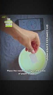 DIY COMPASS EXPERIMENT 🧭🧪