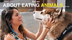 2.6M views · 35K reactions | I don't like eating dogs! But I also don't like double standards. So many people give China a hard time for the minority that eats dogs. Not only is this a generalization, but it's also a double standard. At the end of the day, what's the difference between eating a dog in China and eating a cow or a pig in our home country? INSTAGRAM: @NasDaily GROUP: Nas Daily Global | Nas Daily | Facebook