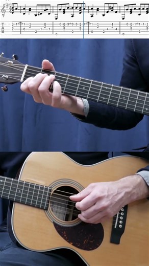 Foule sentimentale #fingerstyle #chansonfrancaise #guitarcover #fingerstyletabs #guitartutorial