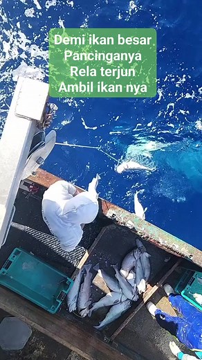 10K views · 50 reactions | #viral #fyp #reels #jangkauan Facebook Facebook Marketplace Assistant Facebook for Creators FaceApp @sorotan | Abi Zahra Ra | Facebook