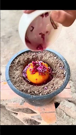 Persimmon Tree Ugane Ka Sabse Aasan Tarika 🌱🪴 || #shorts