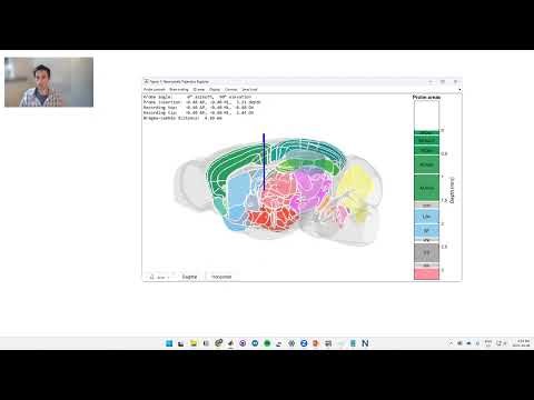 2023 1 03 1 Neuropixels trajectory explorer (Peters)