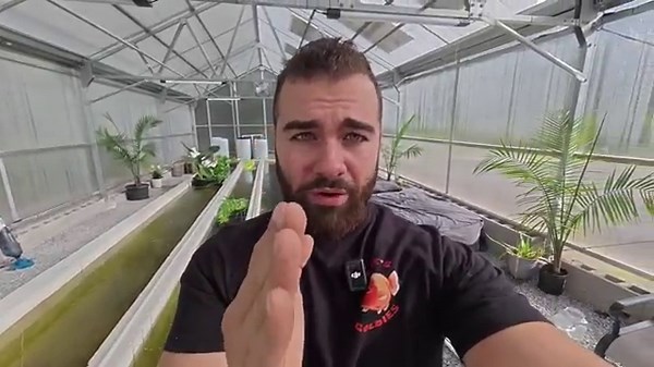 Life Inside My Goldfish Greenhouse