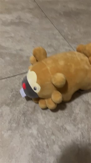 Eevee is genuinely angry with Bidoof! (I can make a whole lot of these videos!) ##Pokémon##eevee##Bidoof##hadenough