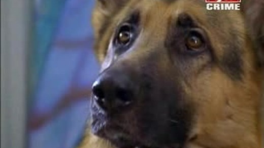 Komisarz Rex S06E08 (Księżycowy zabójca)