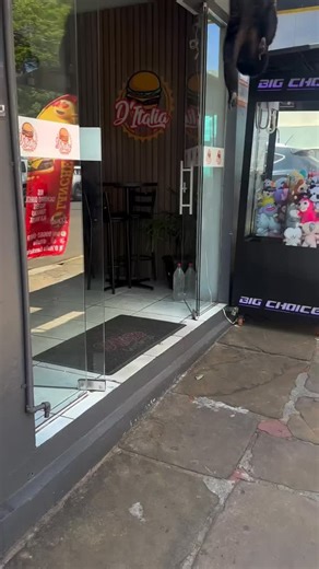 Home of the funky monkeys on Instagram: "He howling . Follow -> @monkey.posting . . . . . . . . . . . . #skibidibbydibyodadubdubyodadubdubskibidibbydibyodadubdubyodadubdub #meme #memes #bestmemes #funny #instamemes #funnymemes #dankmemes #offensivememes #edgymemes #monkeymondays #primates #memepage #chimps #dank #memesdaily #chimp #memestar #monkeymonday #humor #ironymeme #igmemes #ironymemes #memeaccount #monkeyseemonkeydo #relatablememes #monkeymeme #irony"