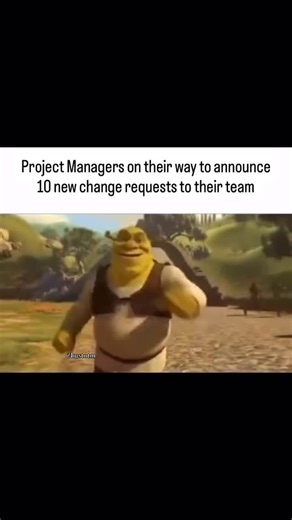 Joe on Instagram: "#projectmanager #projectmanagement #project #manager #pm"