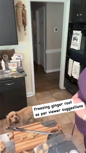 6K views · 109 reactions | Ginger root or rhizome is a culinary herb, food, and medicine- a popular spice for thousands of years. Same family as turmeric and cardamom. Can be used as an anti-inflammatory but need to watch med interactions. You can grate it while frozen. | Cookin' Cuttin' Up and Ceepin' it Real | Facebook